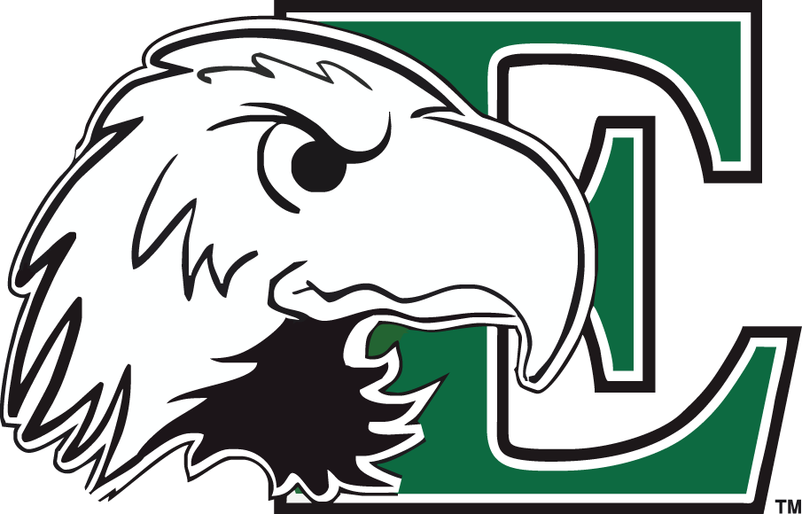 Eastern Michigan Eagles 2003-2012 Primary Logo iron on transfers for fabric